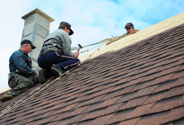 Best Roof Waterproofing Services  in Mack, OH